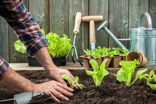 Company team member preparing tools at start of garden maintenance shift