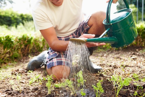 Gardening team inspecting a Fitzrovia front garden with safety gear